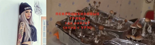 ГАЛЛЮЦИНОГЕННЫЕ ГРИБЫ Балахна