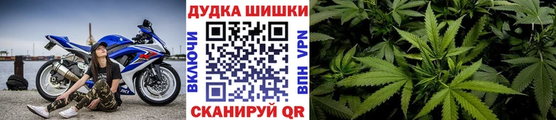 где найти наркотики  Саянск  Бошки марихуана Ganja 